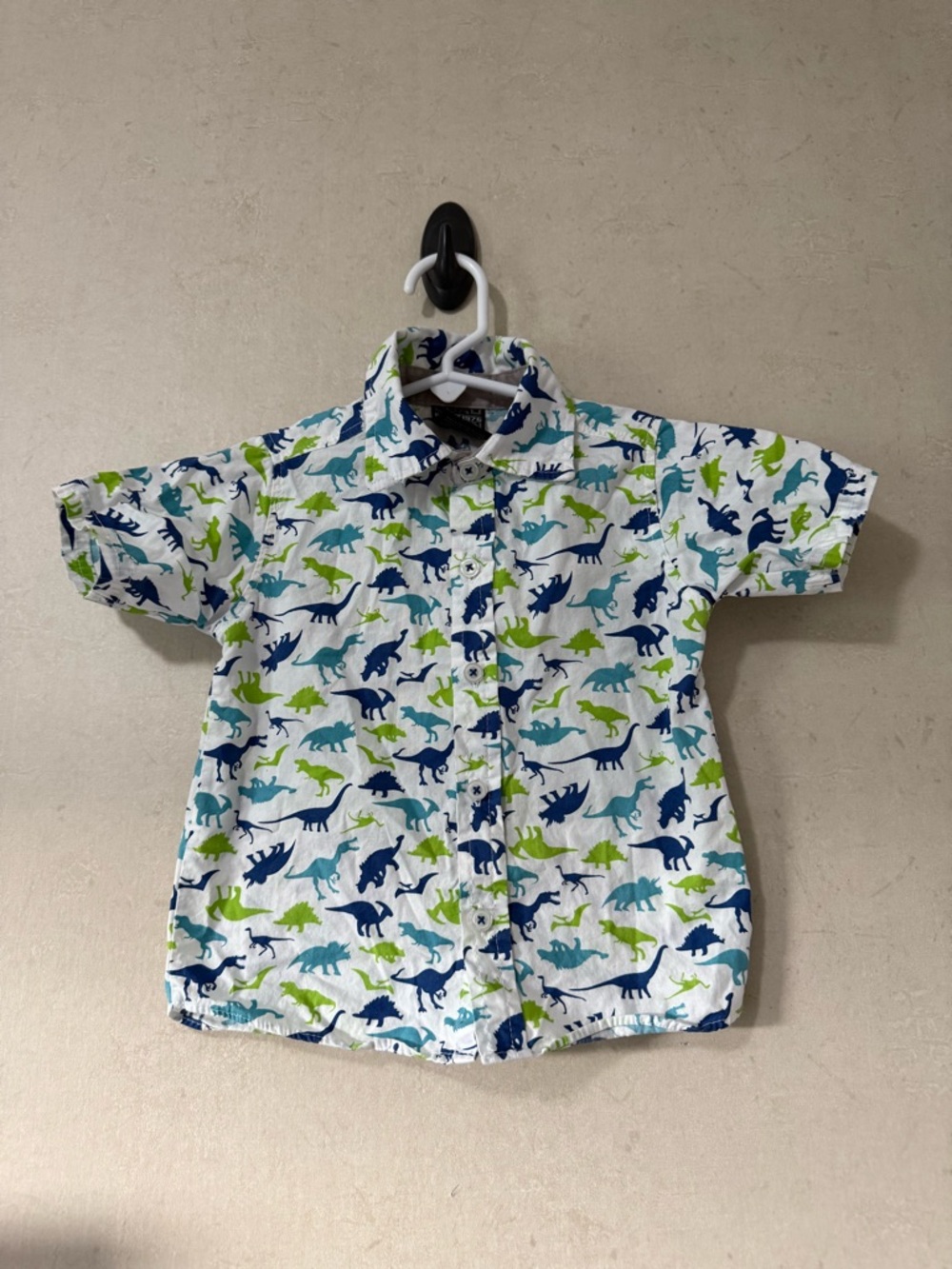 Boys 3T Dino Button Up